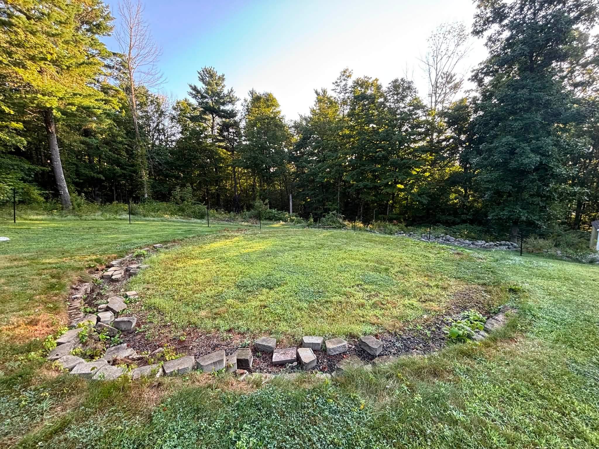 Backyard before grading — pool area from second angle